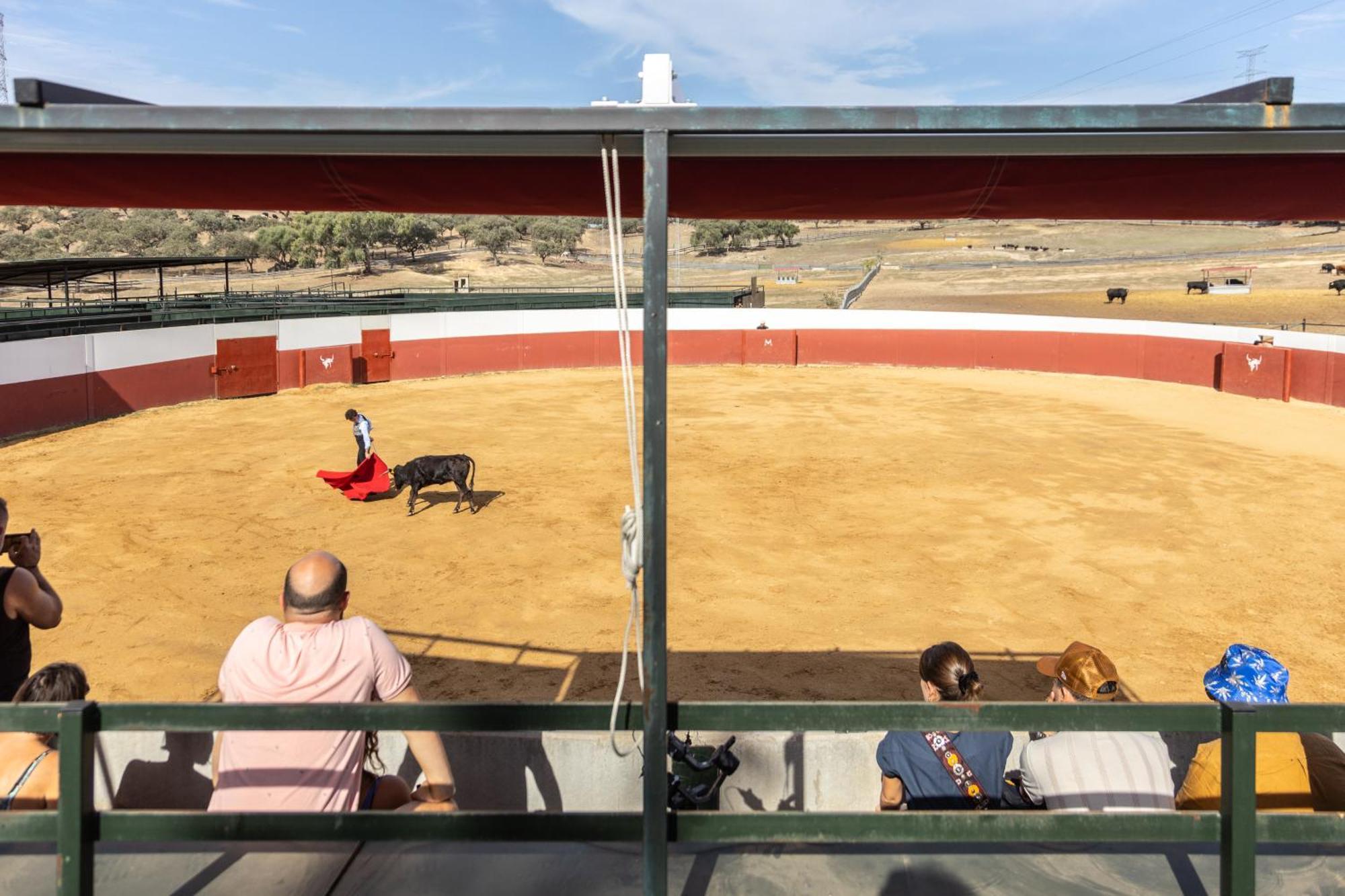 Hotel Hospedium Rural Virgen Maria